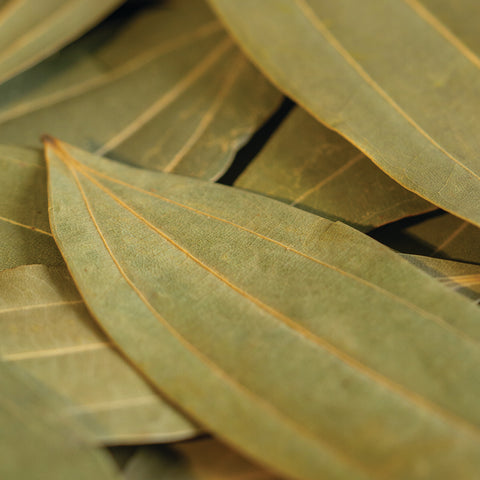 Bay Leaf