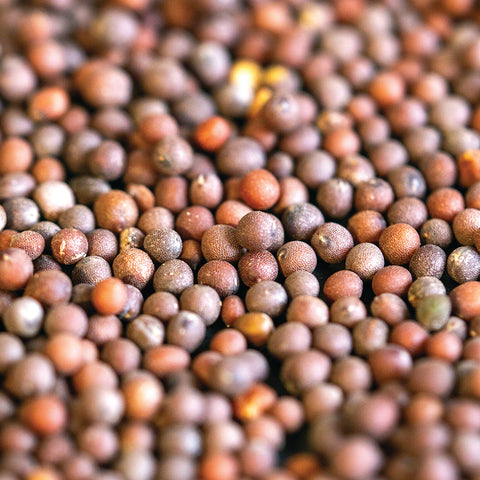 Masala Dabba