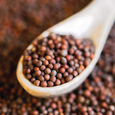Mustard Seeds